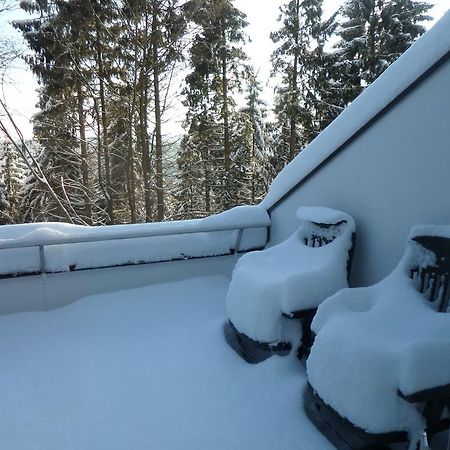 Terrassenhaus Winterberg Apartment Екстериор снимка